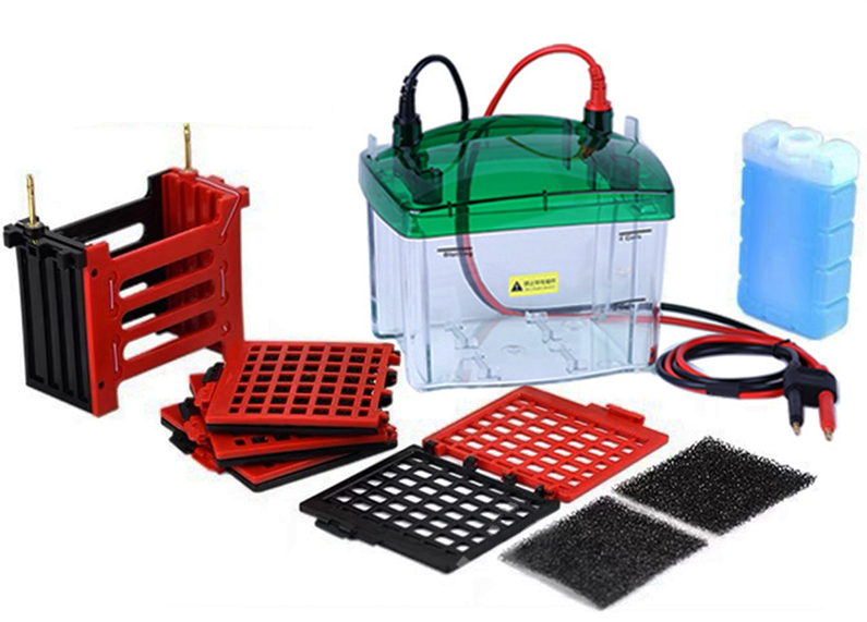 NA-TB5转印电泳槽